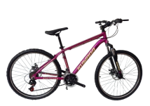 Bicicleta Kuwara Rodado 26 21vel aluminio c/ susp