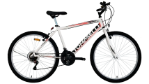 Bicicleta Tomaselli TRB Rodado 26 - 21 Velocidades