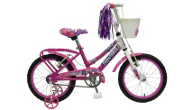 Bicicleta Tomaselli Lady Rodado 14